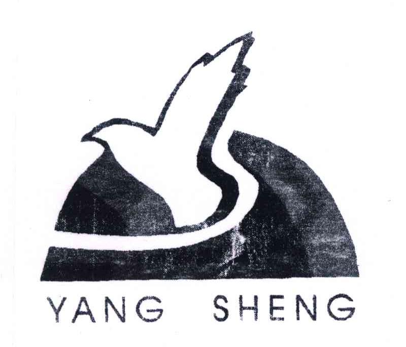 YANG SHENG