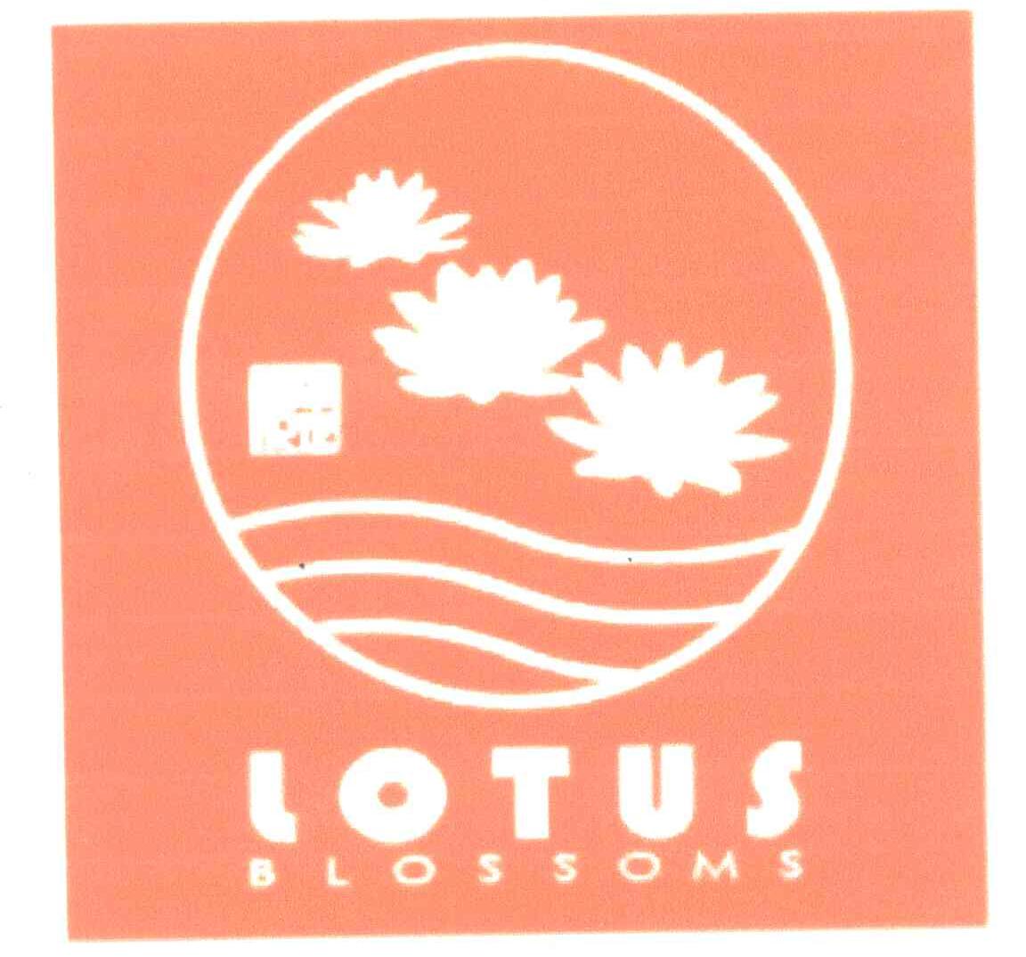 LOTUS BLOSSOMS;LOTUS