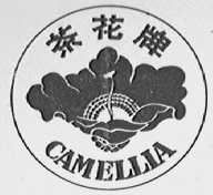 茶花
