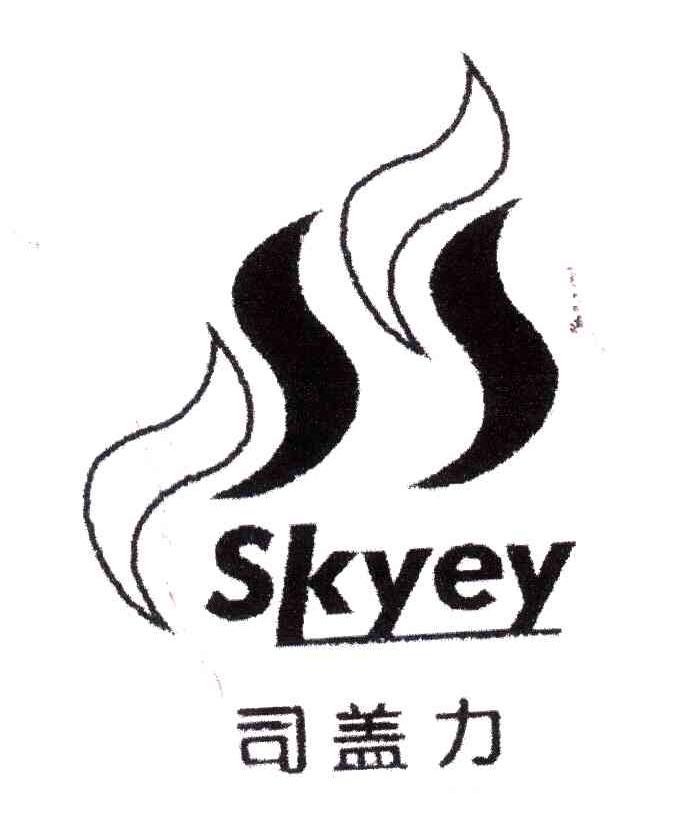 司盖力;SKYEY