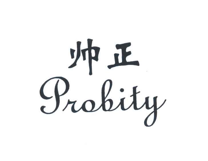 帅正