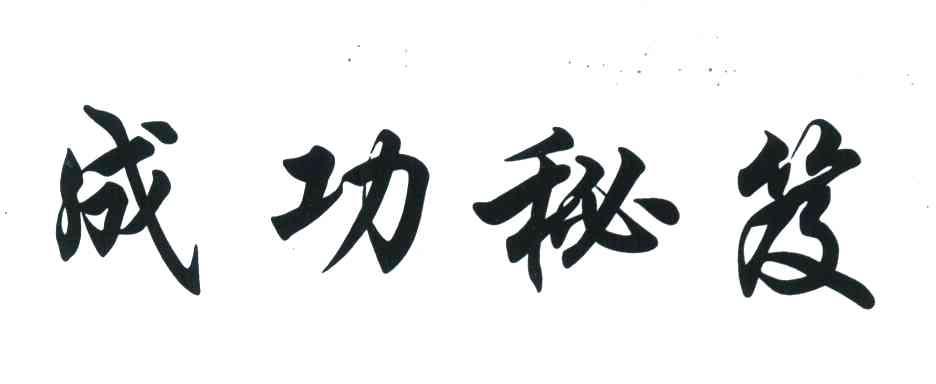 成功秘笈