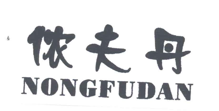 侬夫丹