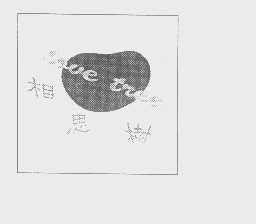 相思树   LOVE TREE