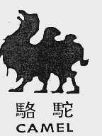 骆驼 CAMEL