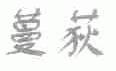 蔓荻