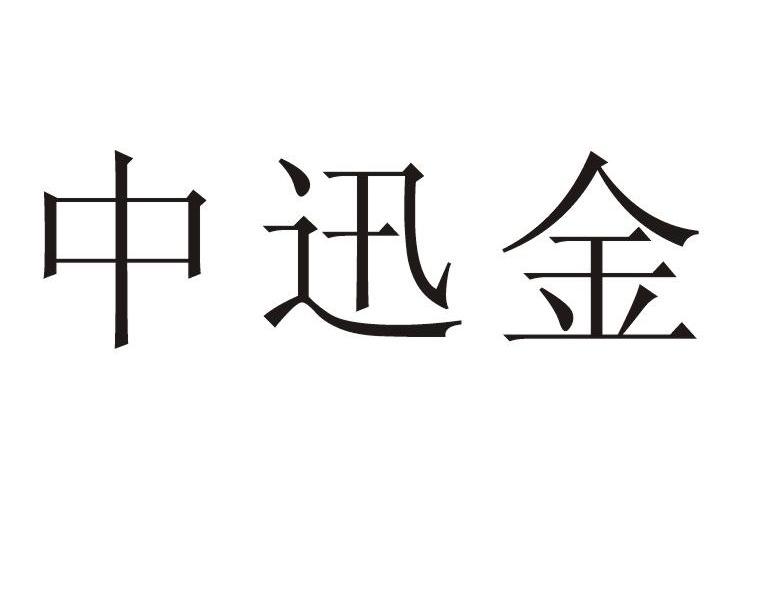 中迅金