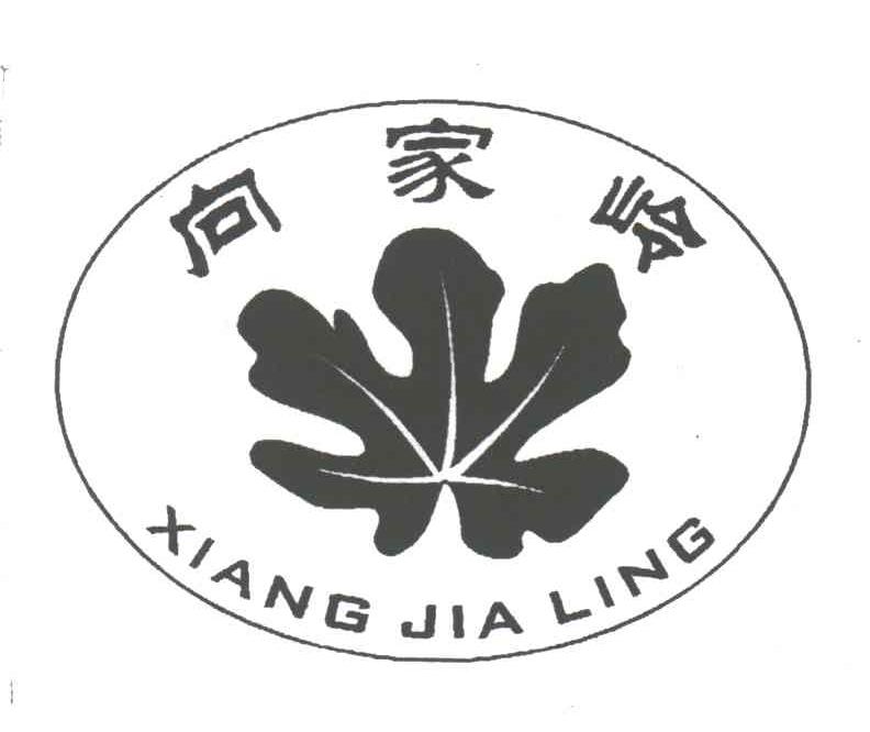 向家岭