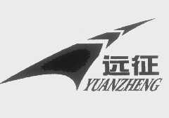 远征