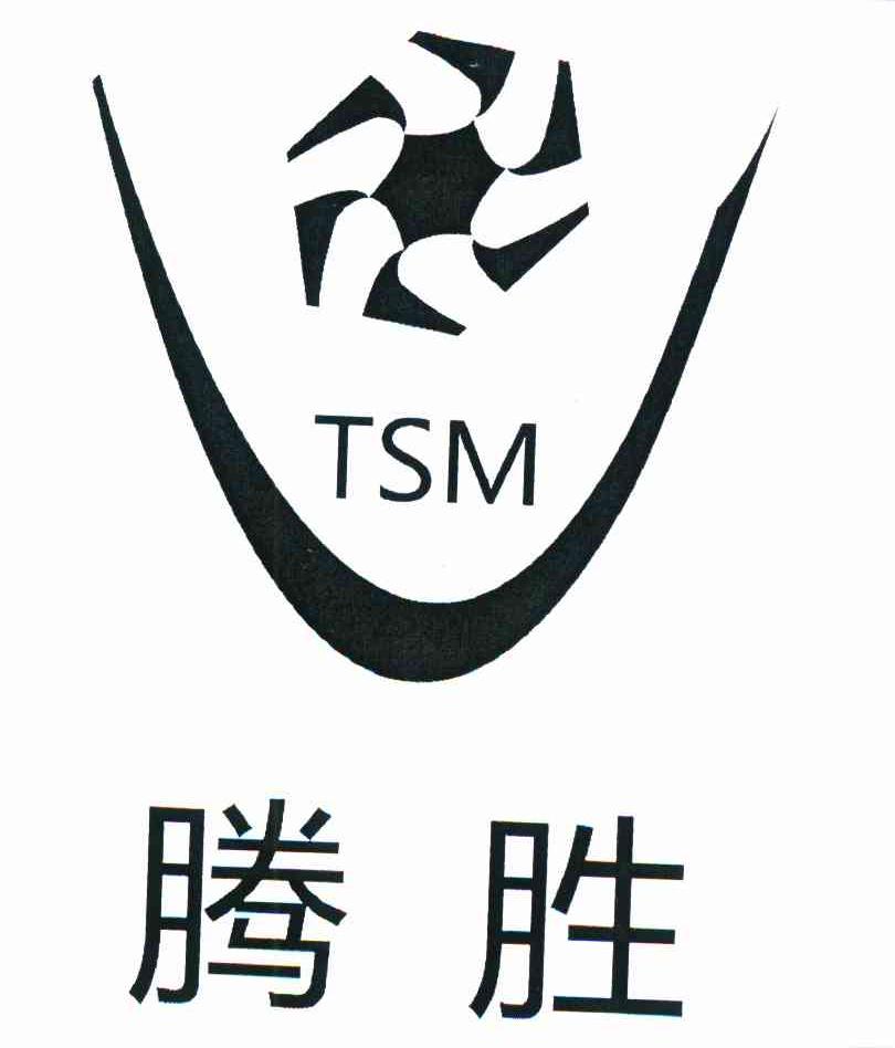 腾胜 TSM