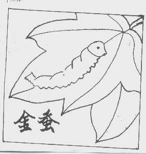 金蚕