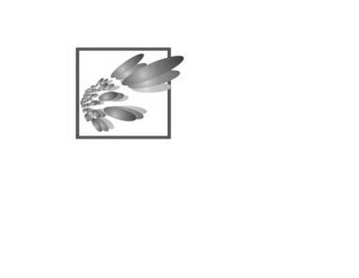 图形