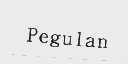 PEGULAN