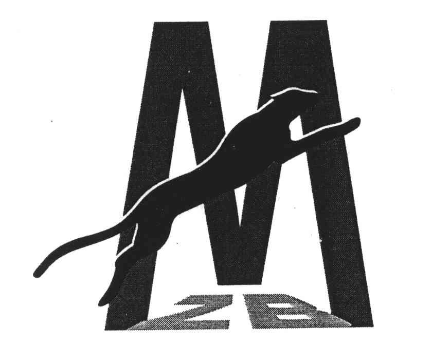ZBM
