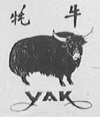 牦牛    YAK