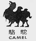骆驼;CAMEL