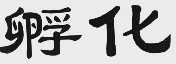孵化