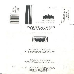 刺五加   ACANTHOPANAX SENTICOSUS