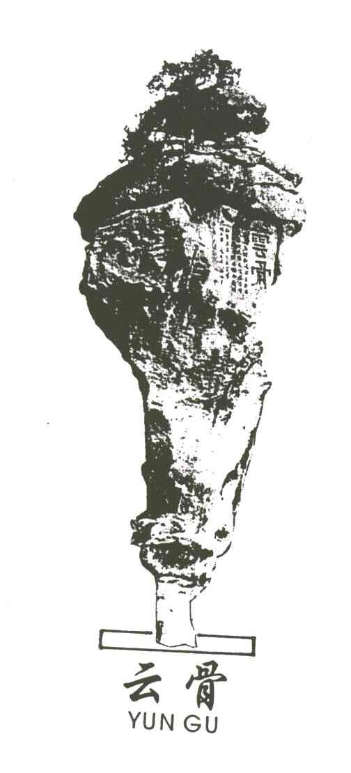 云骨