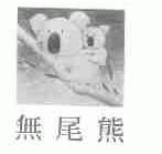 无尾熊