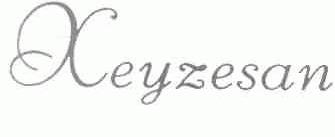 XEYZESAN