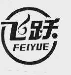 飞跃