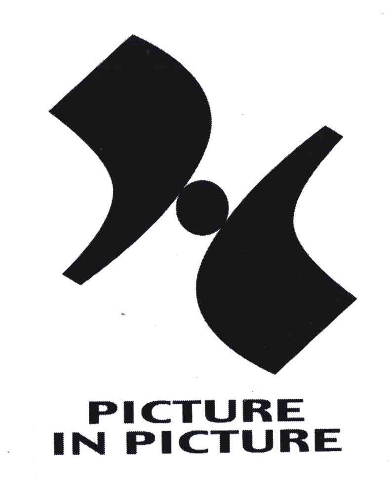 PICTURE IN PICTURE画中画
