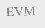EVM
