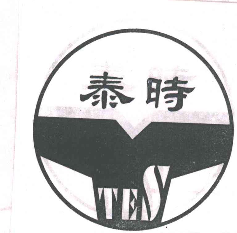 泰时；TES