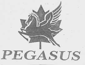 PEGASUS