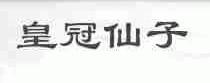 皇冠仙子