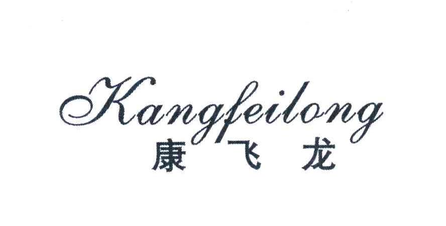 康飞龙