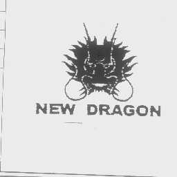 NEW DRAGON