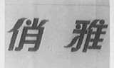 俏雅