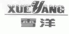 雪洋