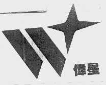 伟星