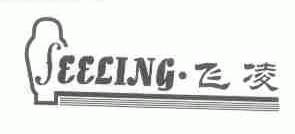 飞凌;FEELING