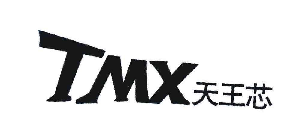 天王芯 TMX