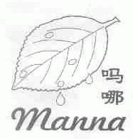 吗哪;MANNA