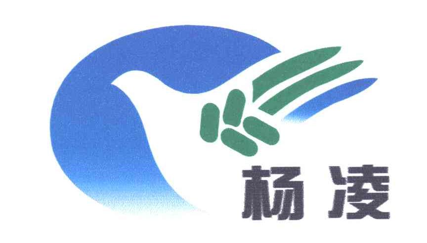 杨凌