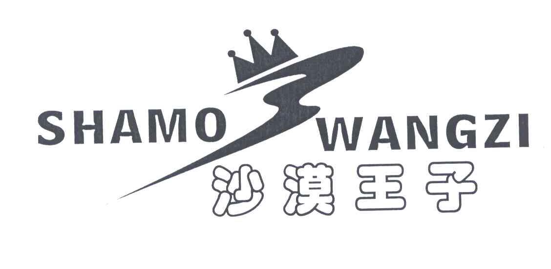 沙漠王子及图形