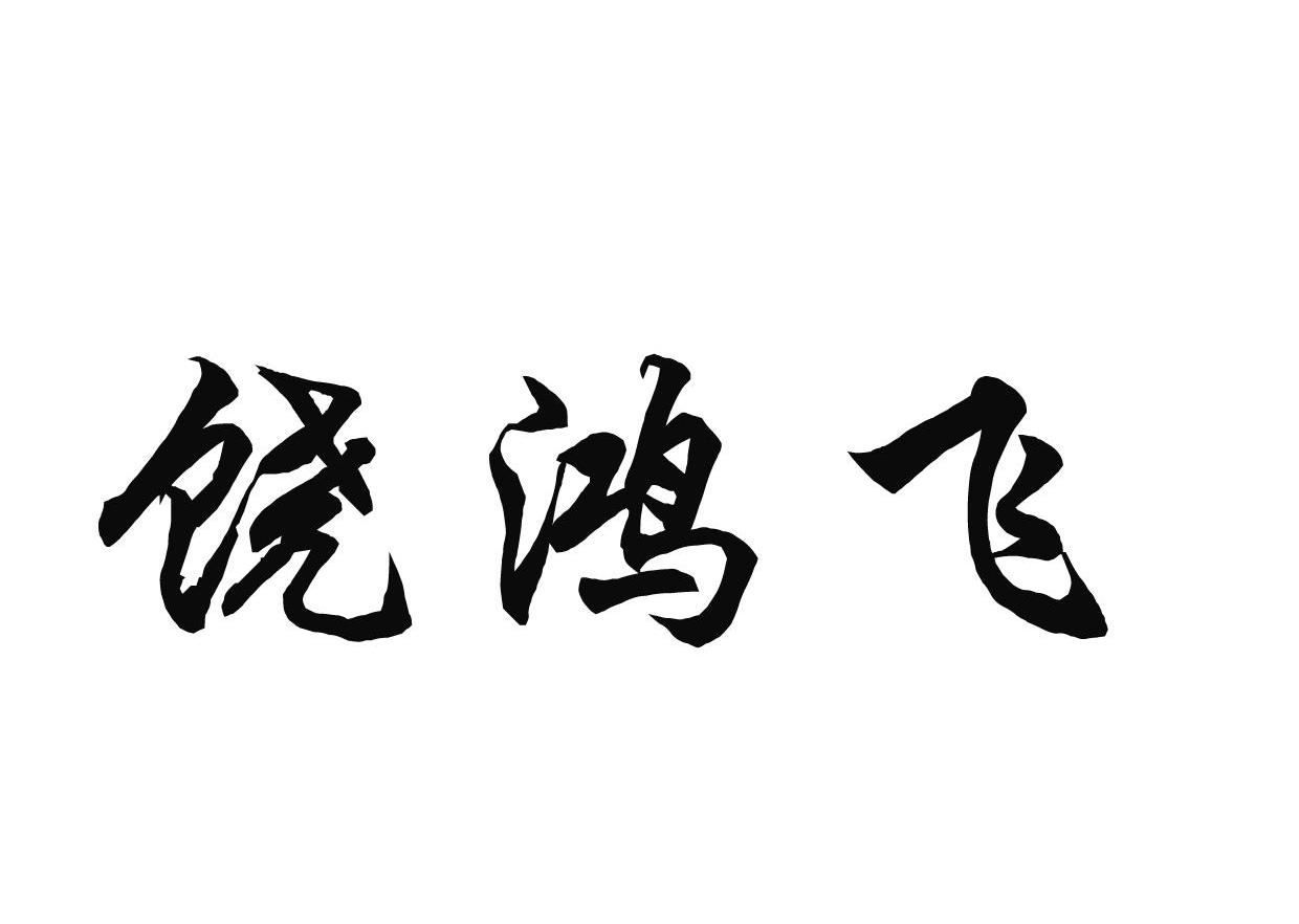 饶鸿飞