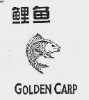 鲤鱼  GOLDEN CARP