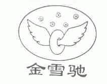 金雪驰