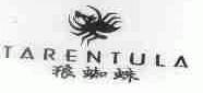 狼蜘蛛;TARENTULA