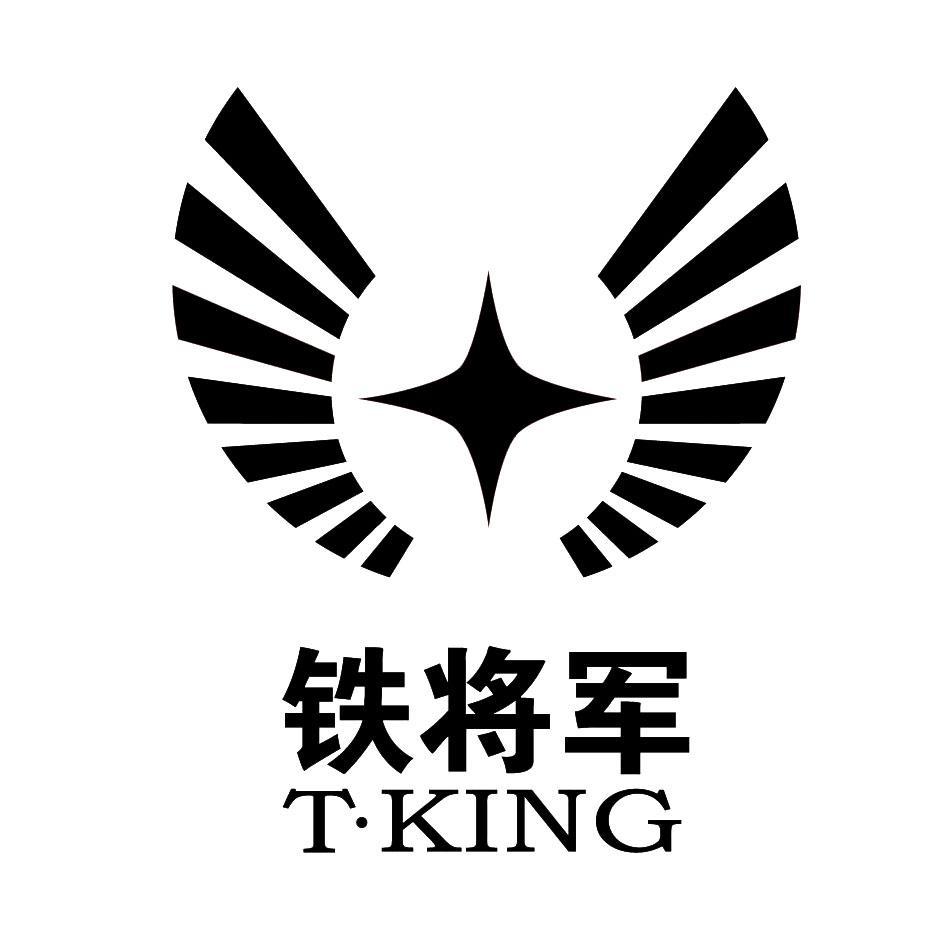 铁将军 T.KING