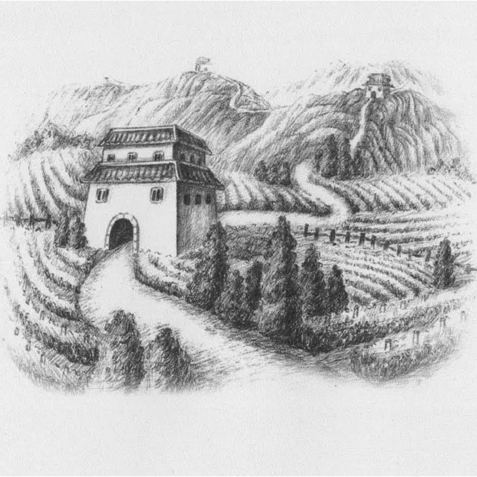 图形