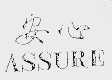 安心  ASSURE