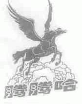 腾腾哈