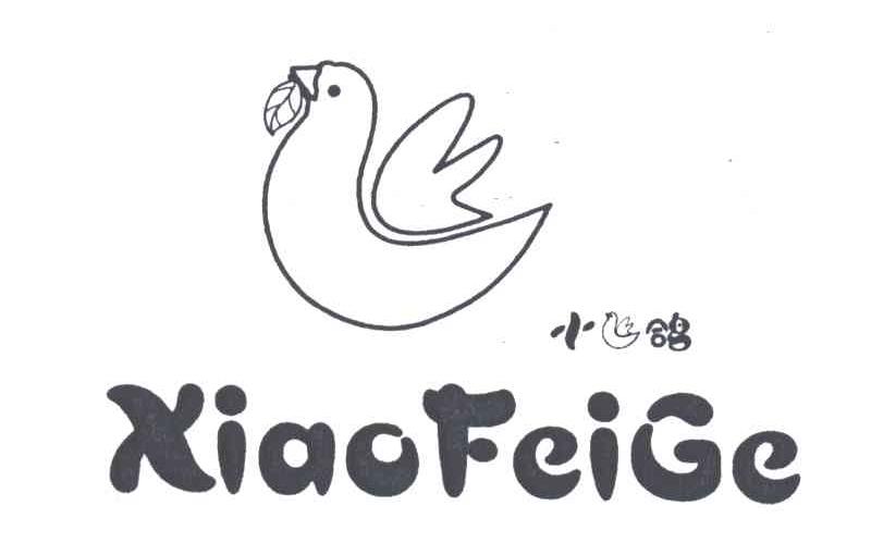 小飞鸽
